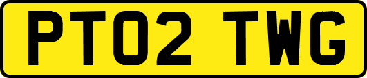 PT02TWG