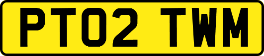 PT02TWM