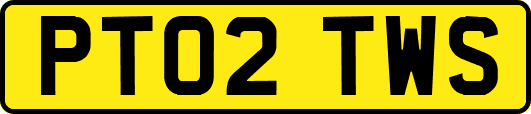 PT02TWS