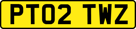 PT02TWZ