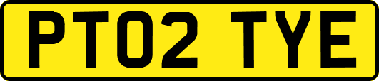 PT02TYE