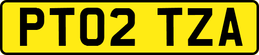 PT02TZA