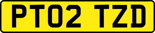 PT02TZD