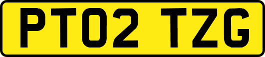 PT02TZG
