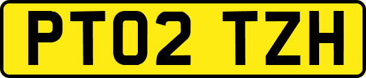 PT02TZH