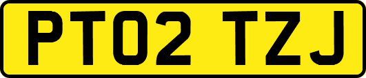 PT02TZJ