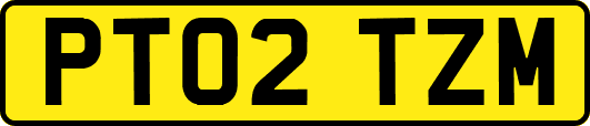 PT02TZM