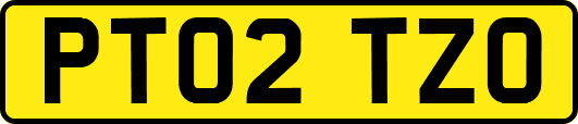 PT02TZO