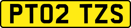 PT02TZS