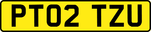 PT02TZU