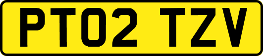 PT02TZV