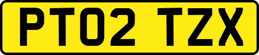 PT02TZX