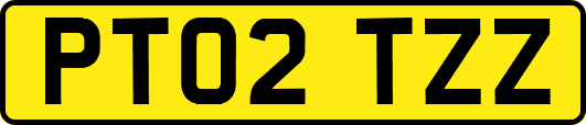PT02TZZ
