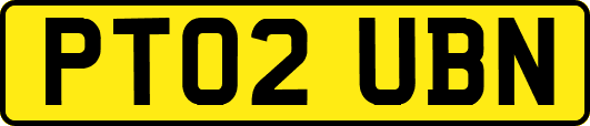 PT02UBN