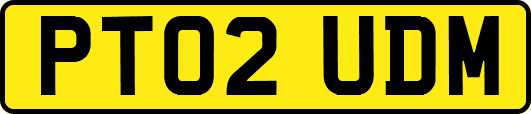 PT02UDM