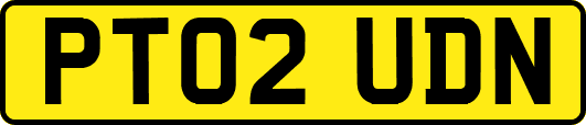 PT02UDN