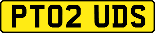 PT02UDS