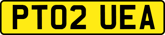PT02UEA