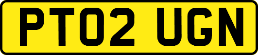 PT02UGN