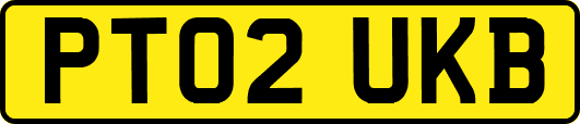 PT02UKB