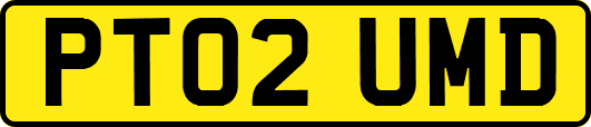 PT02UMD