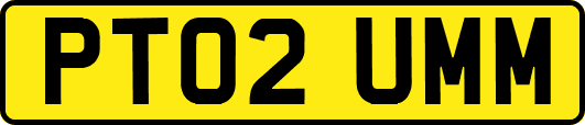 PT02UMM