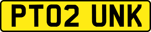 PT02UNK