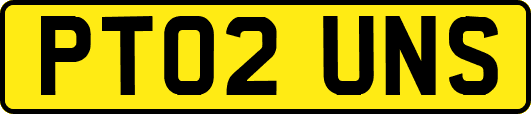 PT02UNS