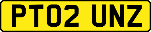 PT02UNZ