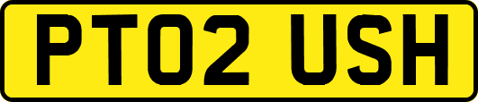 PT02USH