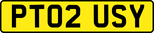 PT02USY