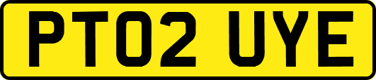 PT02UYE