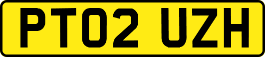 PT02UZH