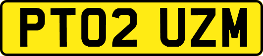 PT02UZM