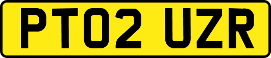 PT02UZR