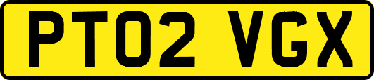 PT02VGX