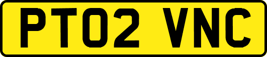PT02VNC