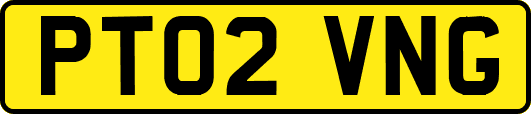 PT02VNG