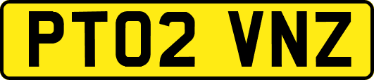 PT02VNZ