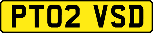 PT02VSD