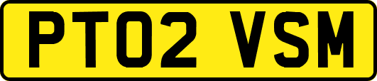 PT02VSM