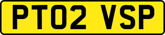 PT02VSP