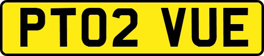 PT02VUE