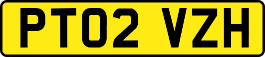 PT02VZH