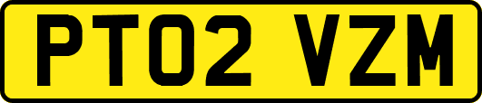 PT02VZM