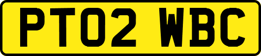 PT02WBC