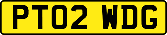 PT02WDG