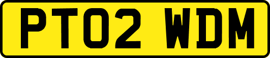PT02WDM