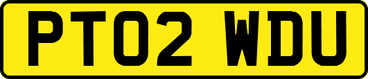 PT02WDU