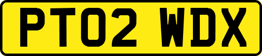 PT02WDX